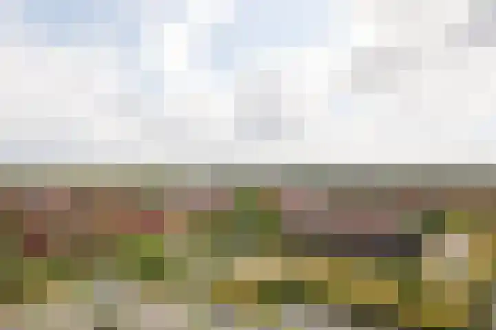 Forel 174 Amersfoort thumbnail 30