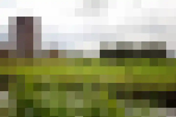 Forel 174 Amersfoort thumbnail 32