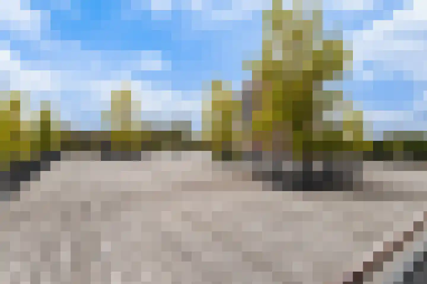Forel 180 Amersfoort thumbnail 45
