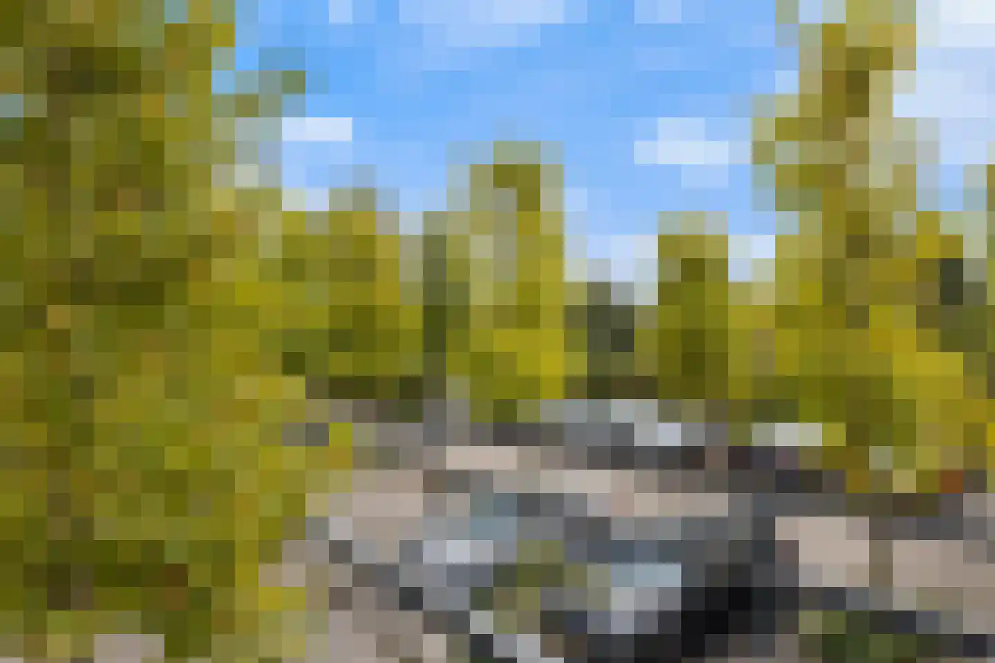Forel 180 Amersfoort thumbnail 47