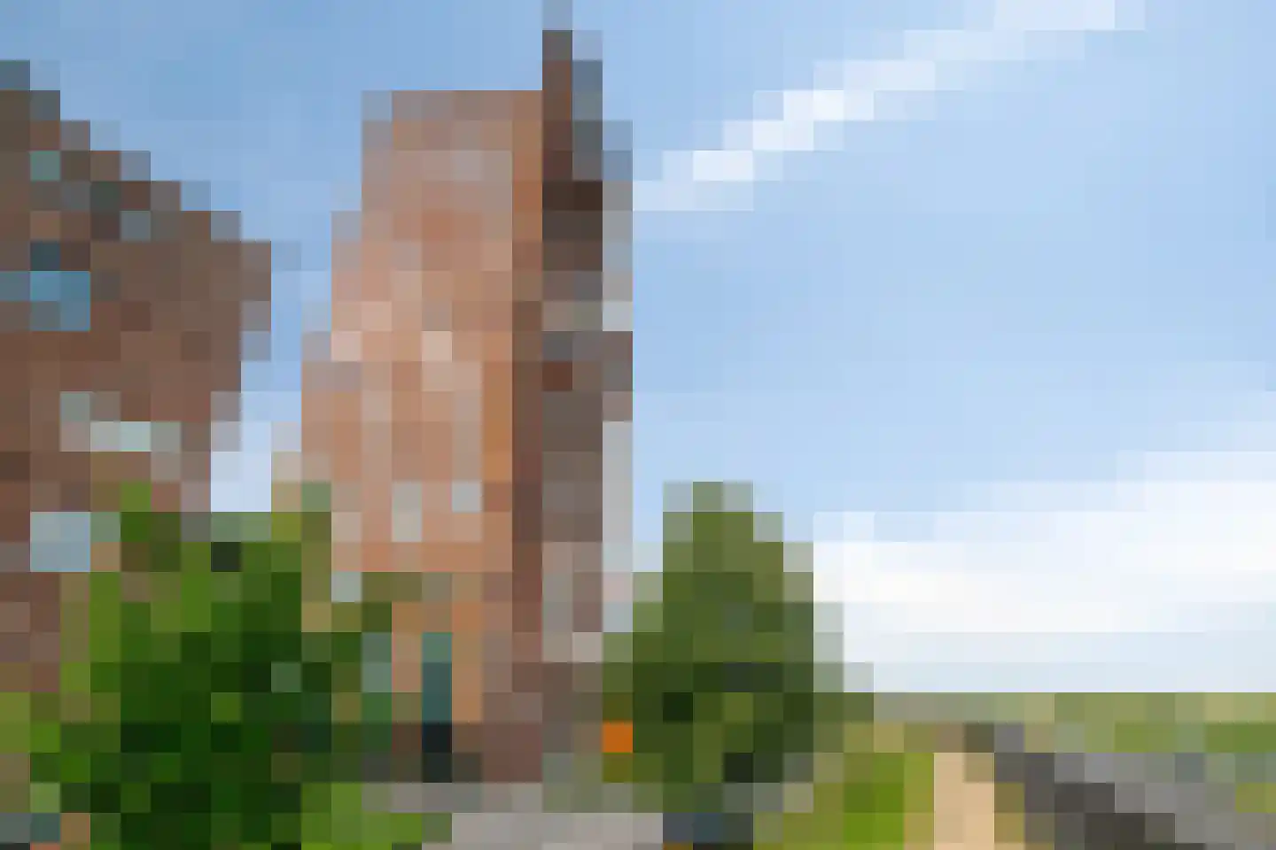 Forel 198 Amersfoort thumbnail 34