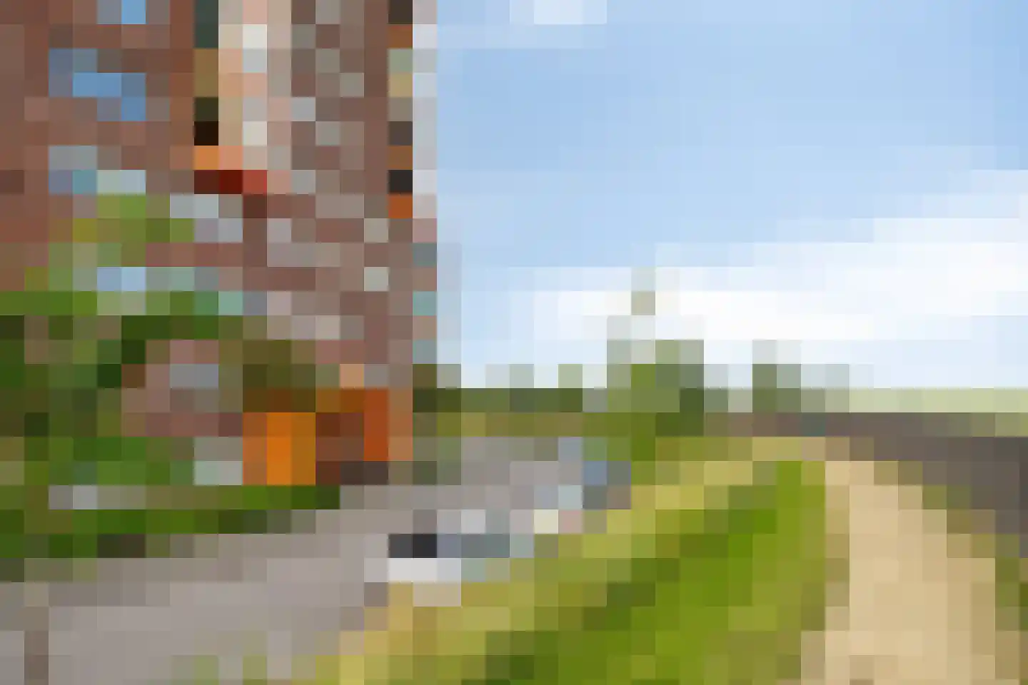 Forel 198 Amersfoort thumbnail 45