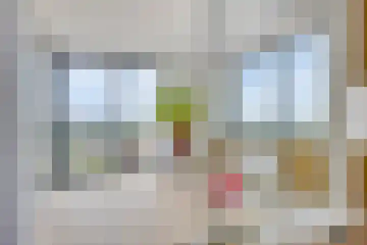 Forel 224 Amersfoort thumbnail 10