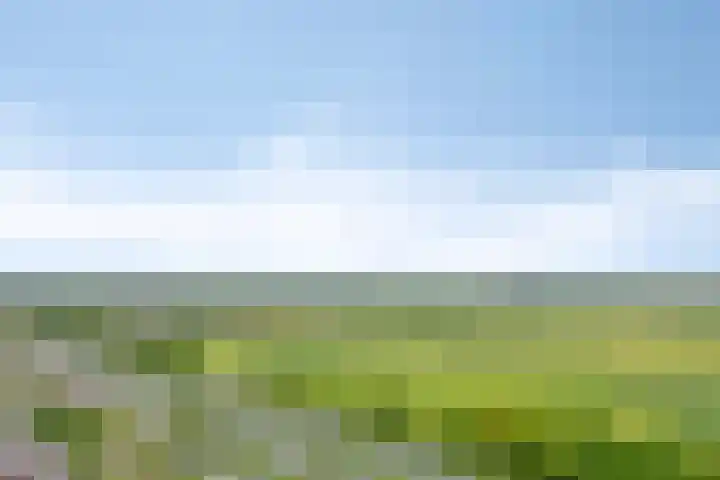 Forel 224 Amersfoort thumbnail 21
