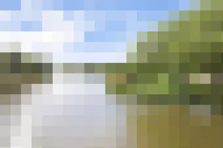 Forel 224 Amersfoort thumbnail 34
