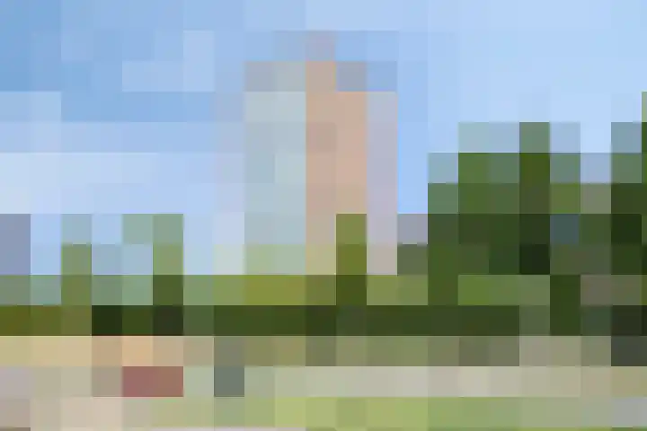 Forel 236 Amersfoort thumbnail 27