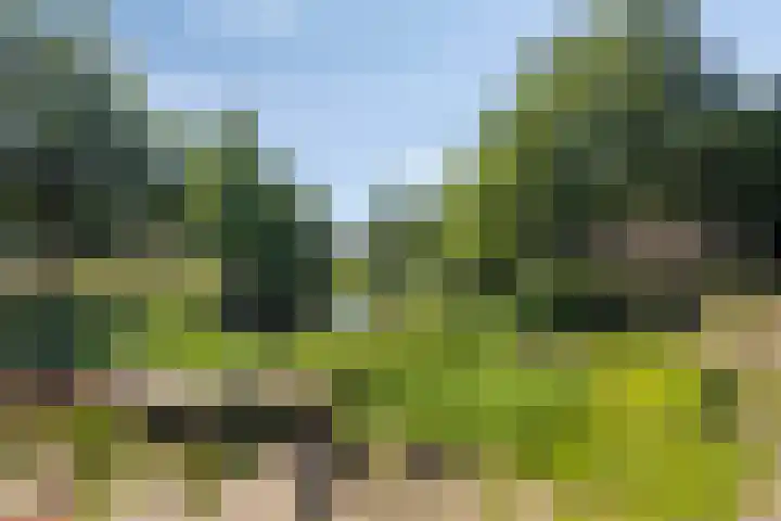 Forel 236 Amersfoort thumbnail 29