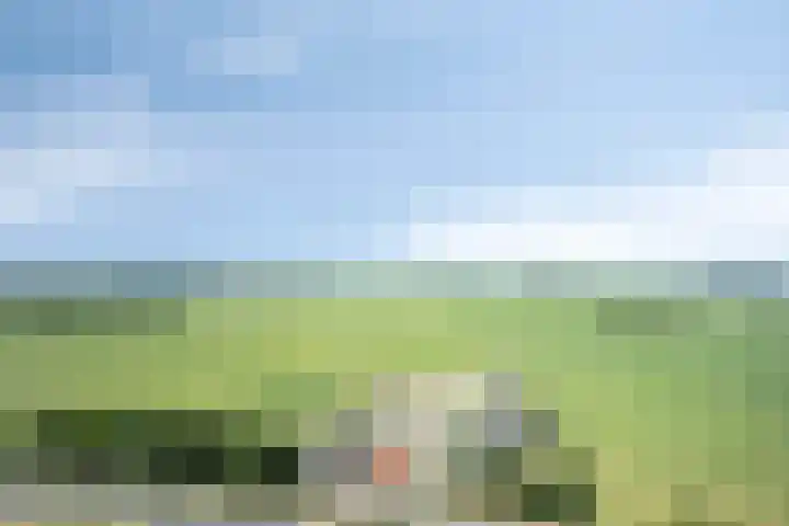 Forel 236 Amersfoort thumbnail 4