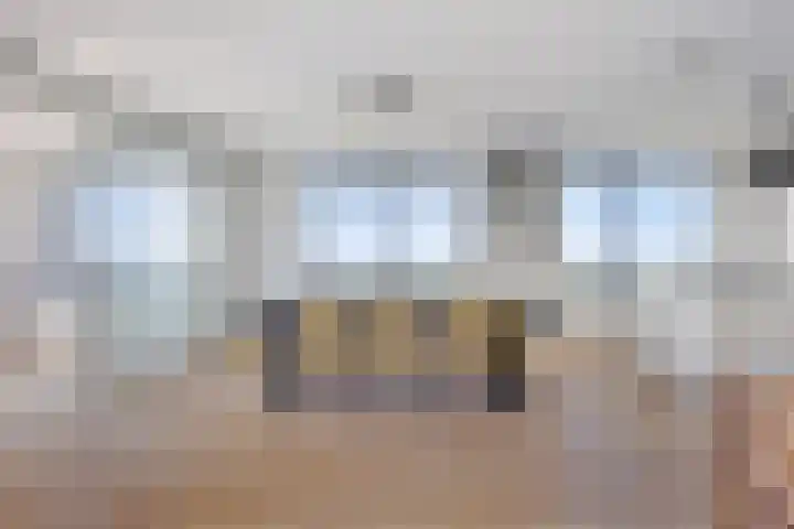 Forel 236 Amersfoort thumbnail 5