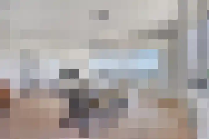 Forel 236 Amersfoort thumbnail 8