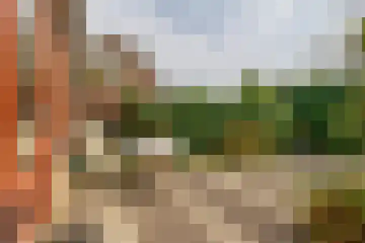 Forel 24 Ridderkerk thumbnail 23