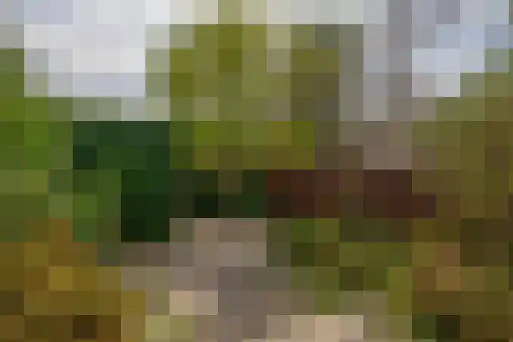 Forel 24 Ridderkerk thumbnail 24
