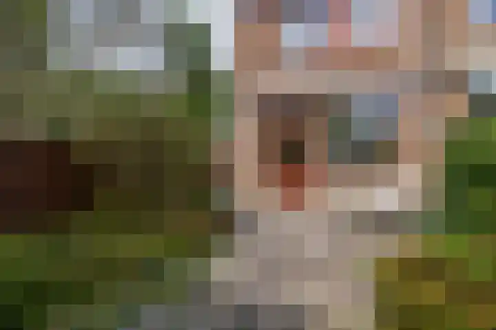 Forel 24 Ridderkerk thumbnail 25