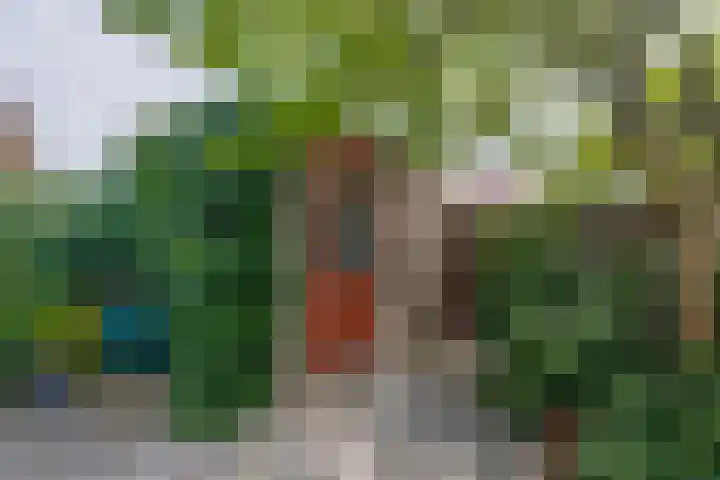 Forel 24 Ridderkerk thumbnail 26