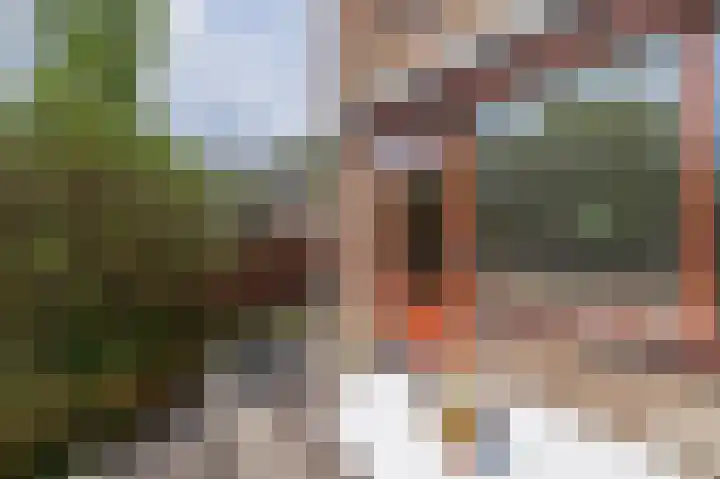 Forel 24 Ridderkerk thumbnail 28