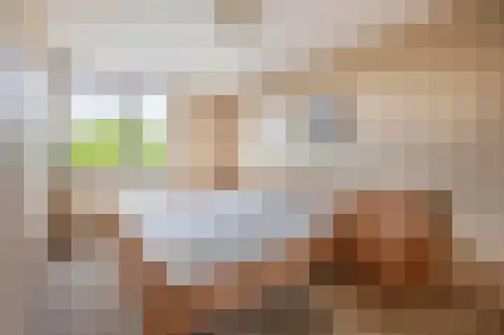 Forel 24 Ridderkerk thumbnail 30