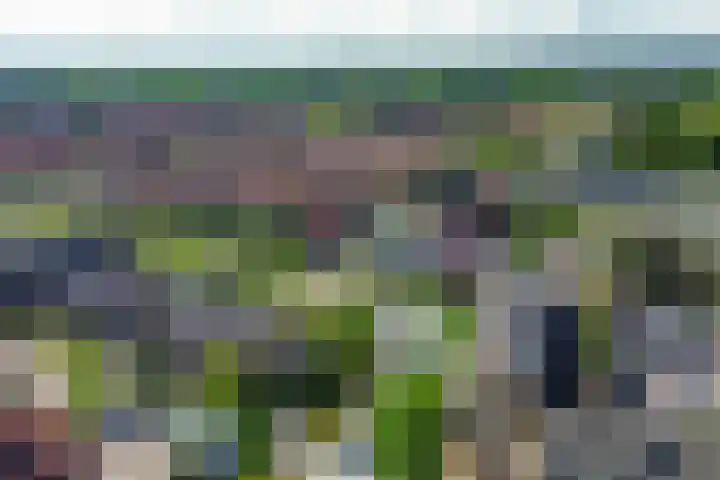 Forel 24 Ridderkerk thumbnail 43