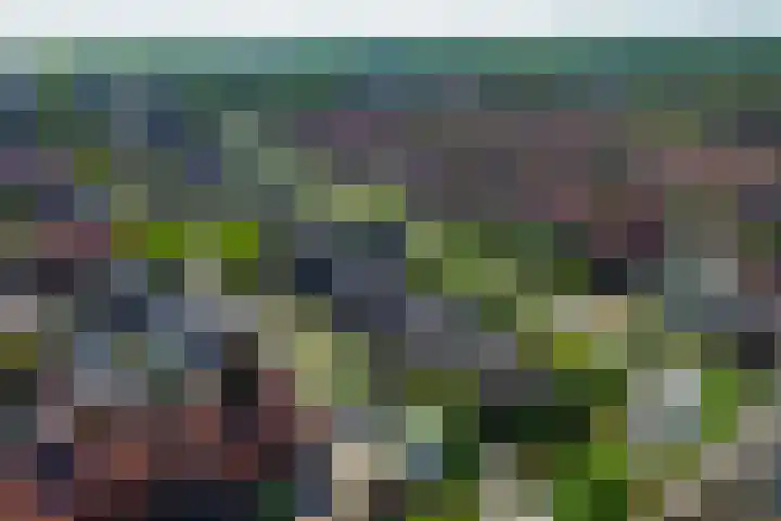 Forel 24 Ridderkerk thumbnail 44