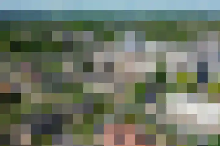 Forel 24 Ridderkerk thumbnail 45