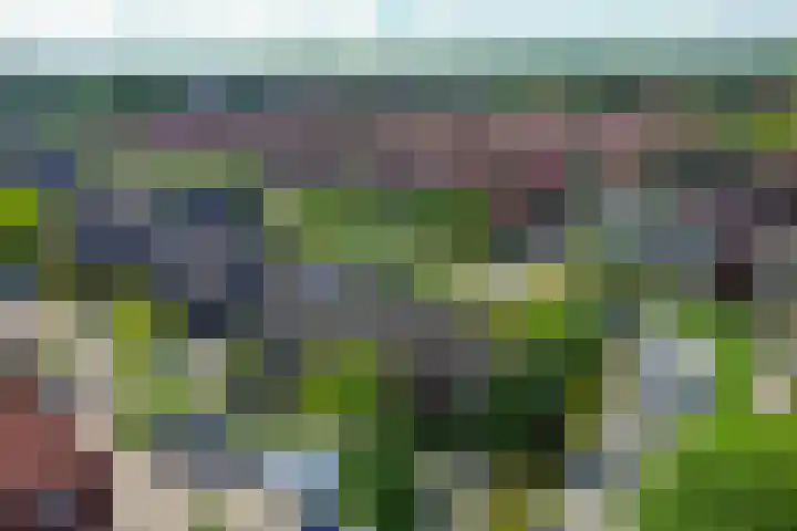 Forel 24 Ridderkerk thumbnail 46