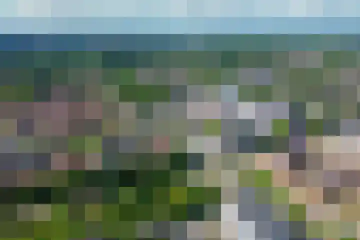 Forel 24 Ridderkerk thumbnail 48