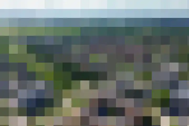 Forel 24 Ridderkerk thumbnail 49