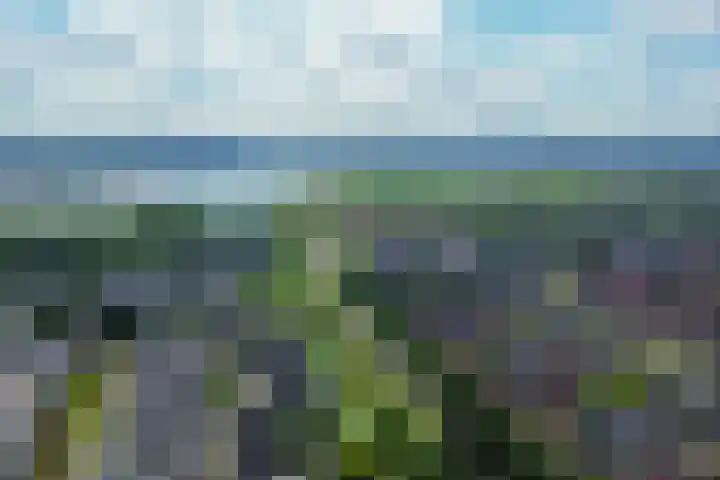 Forel 24 Ridderkerk thumbnail 50