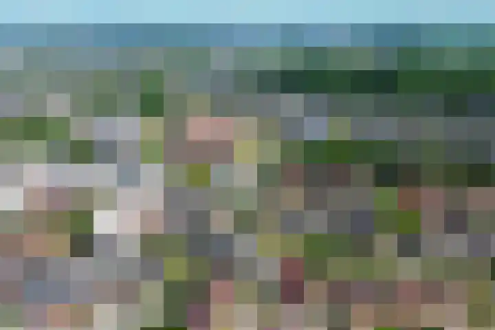 Forel 24 Ridderkerk thumbnail 53