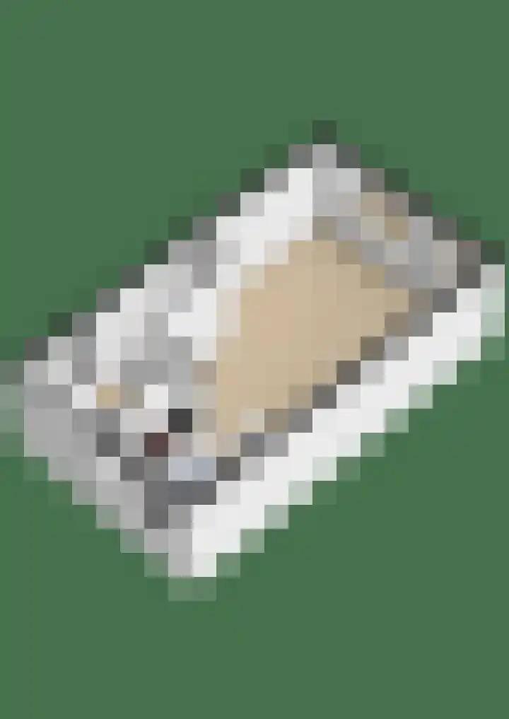 Forel 24 Ridderkerk thumbnail 55