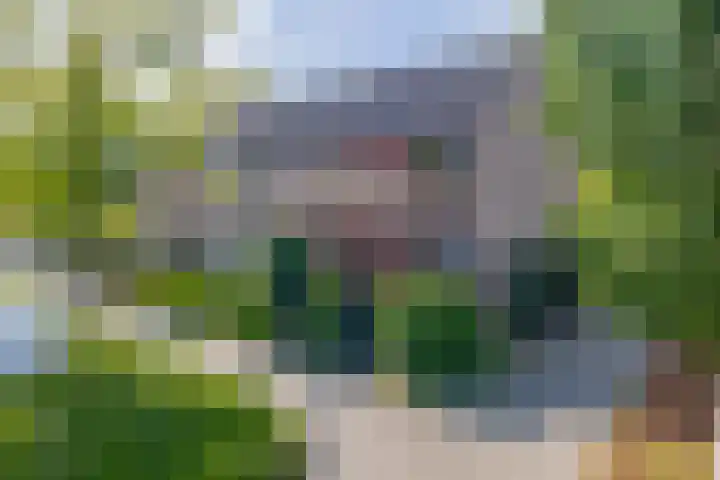 Forel 24 Ridderkerk thumbnail 6