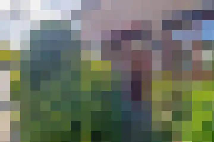 Forel 24 Ridderkerk thumbnail 7