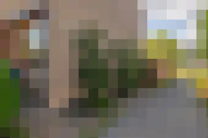 Forel 24 Ridderkerk thumbnail 8