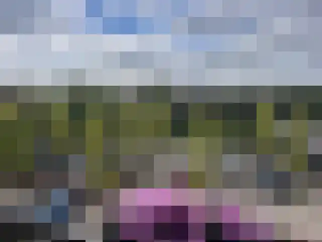 Forel 272 Amersfoort thumbnail 20