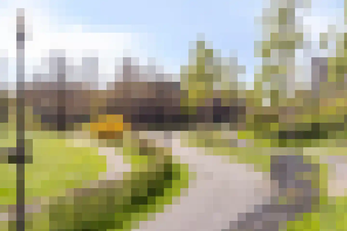 Forel 272 Amersfoort thumbnail 26