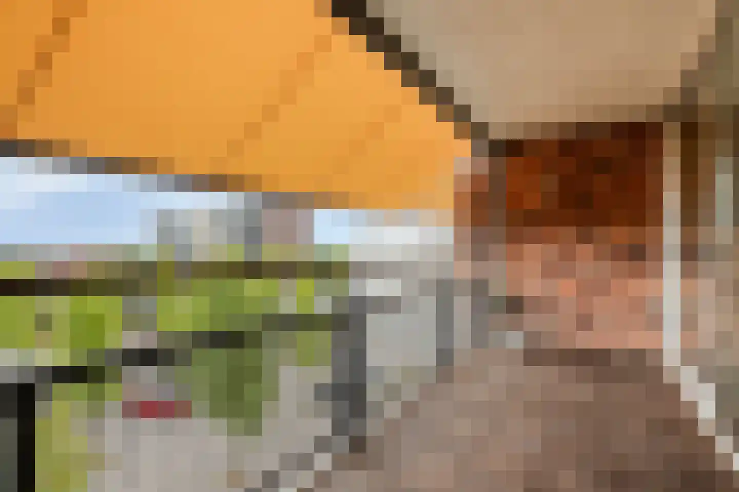 Forel 278 Amersfoort thumbnail 14