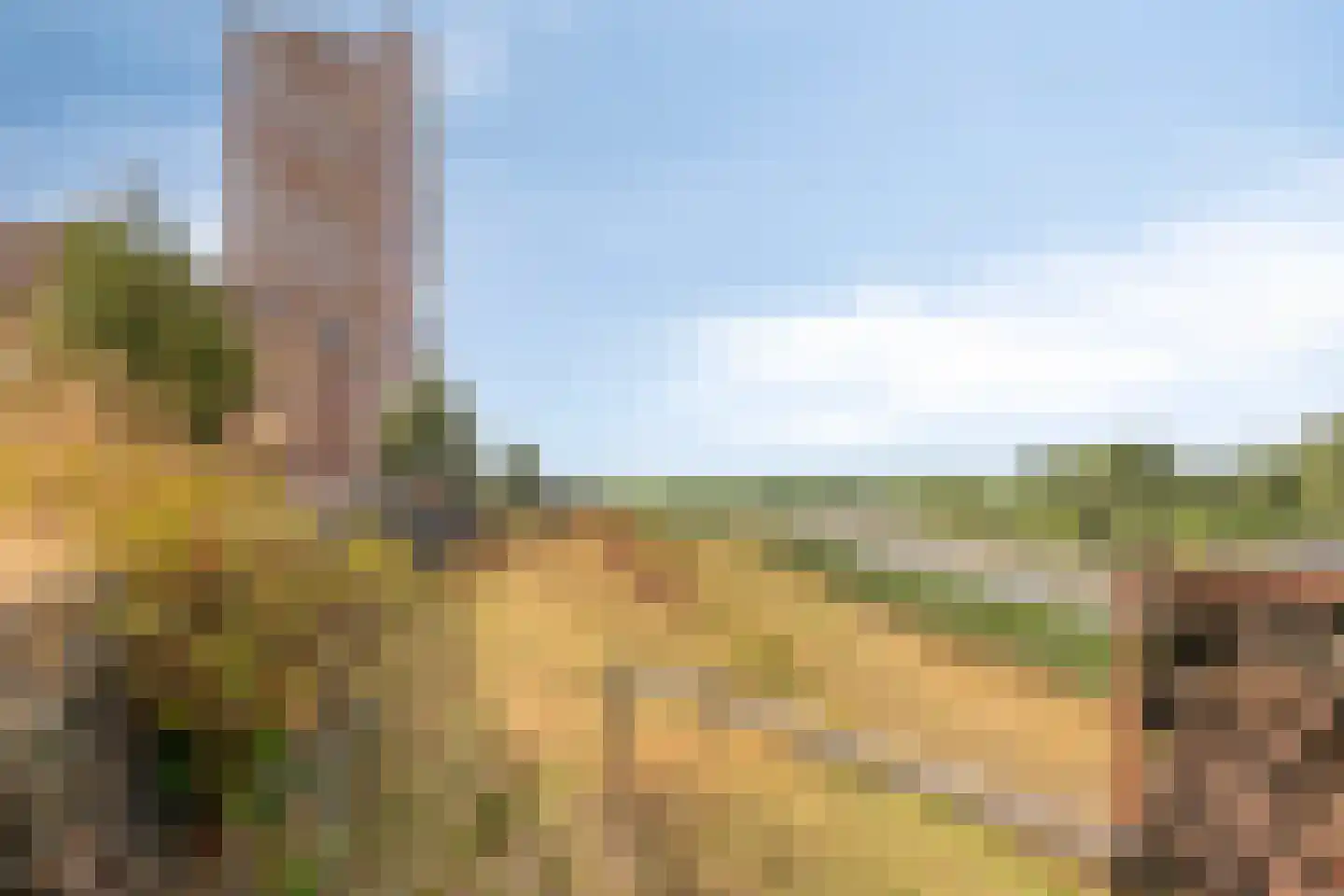 Forel 278 Amersfoort thumbnail 31