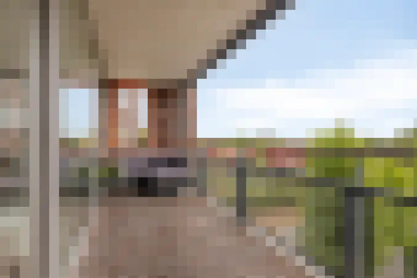 Forel 278 Amersfoort thumbnail 6