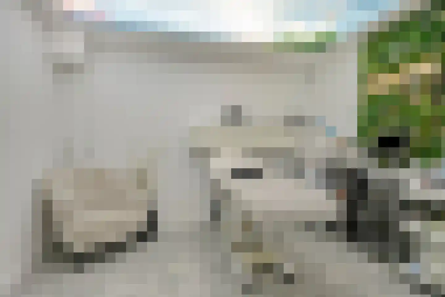 Forel 28 Amersfoort thumbnail 12