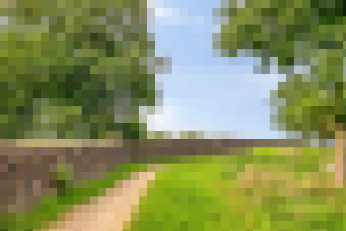 Forel 28 Amersfoort thumbnail 4