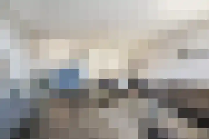 Forel 284 Amersfoort thumbnail 11