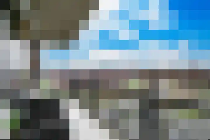 Forel 284 Amersfoort thumbnail 21
