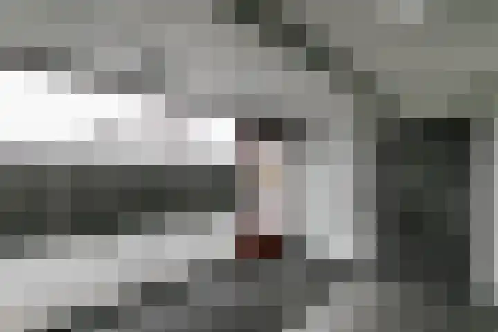 Forel 284 Amersfoort thumbnail 34