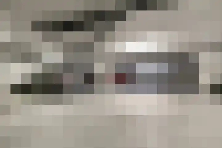 Forel 284 Amersfoort thumbnail 35