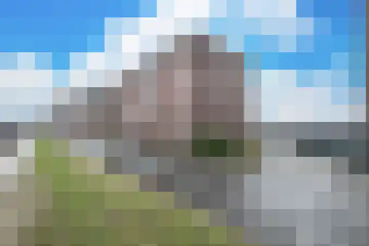 Forel 284 Amersfoort thumbnail 37
