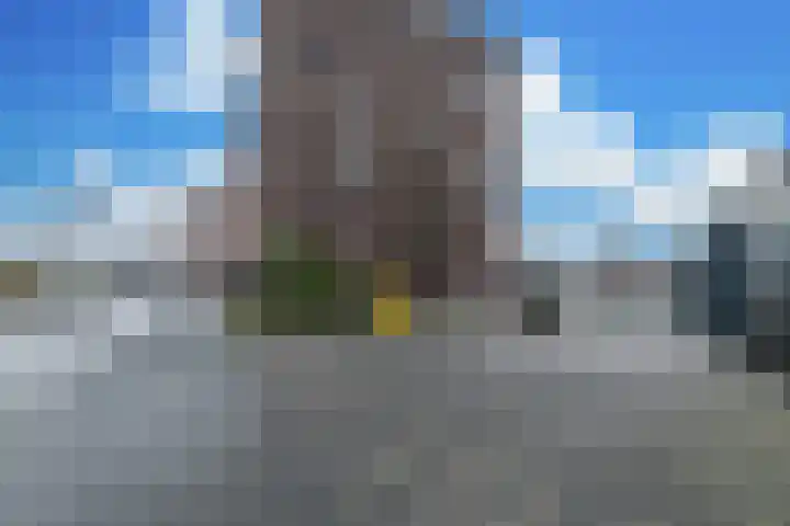 Forel 284 Amersfoort thumbnail 38