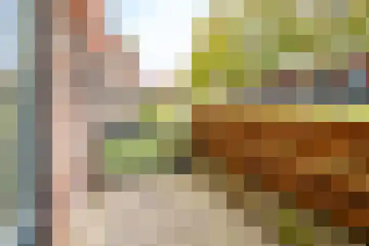 Forel 30 Amersfoort thumbnail 16