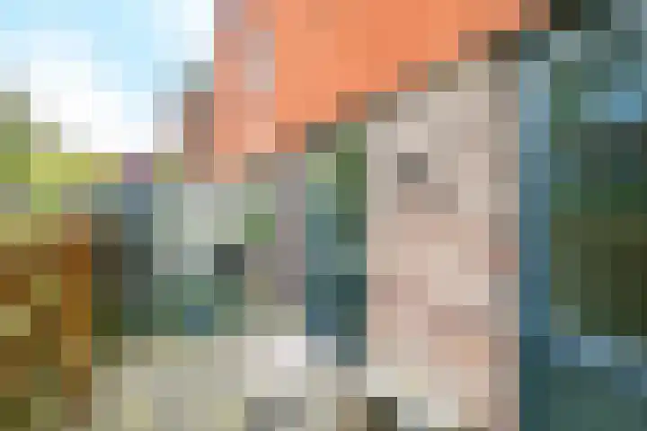 Forel 30 Amersfoort thumbnail 17
