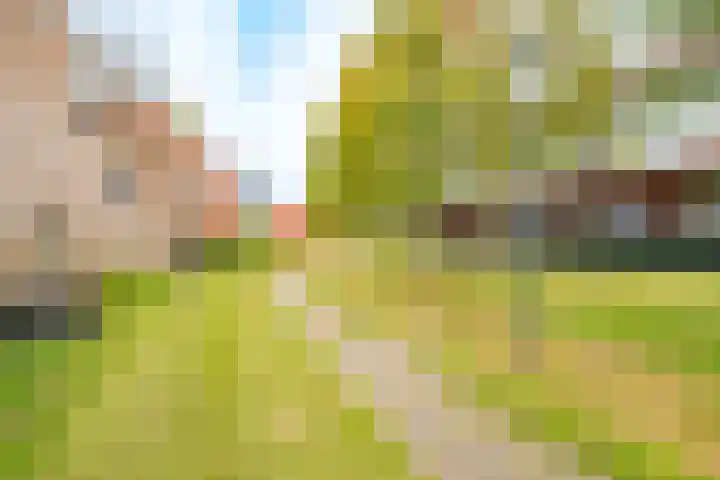 Forel 30 Amersfoort thumbnail 41