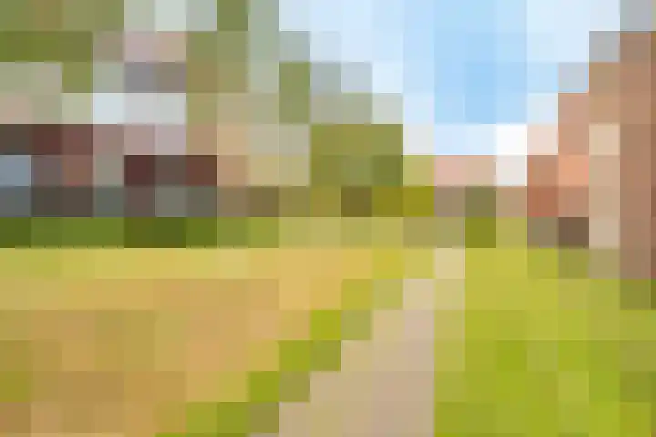 Forel 30 Amersfoort thumbnail 42
