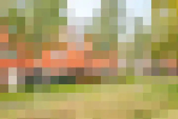 Forel 30 Amersfoort thumbnail 43